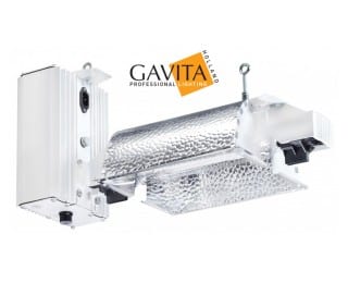 Gavita